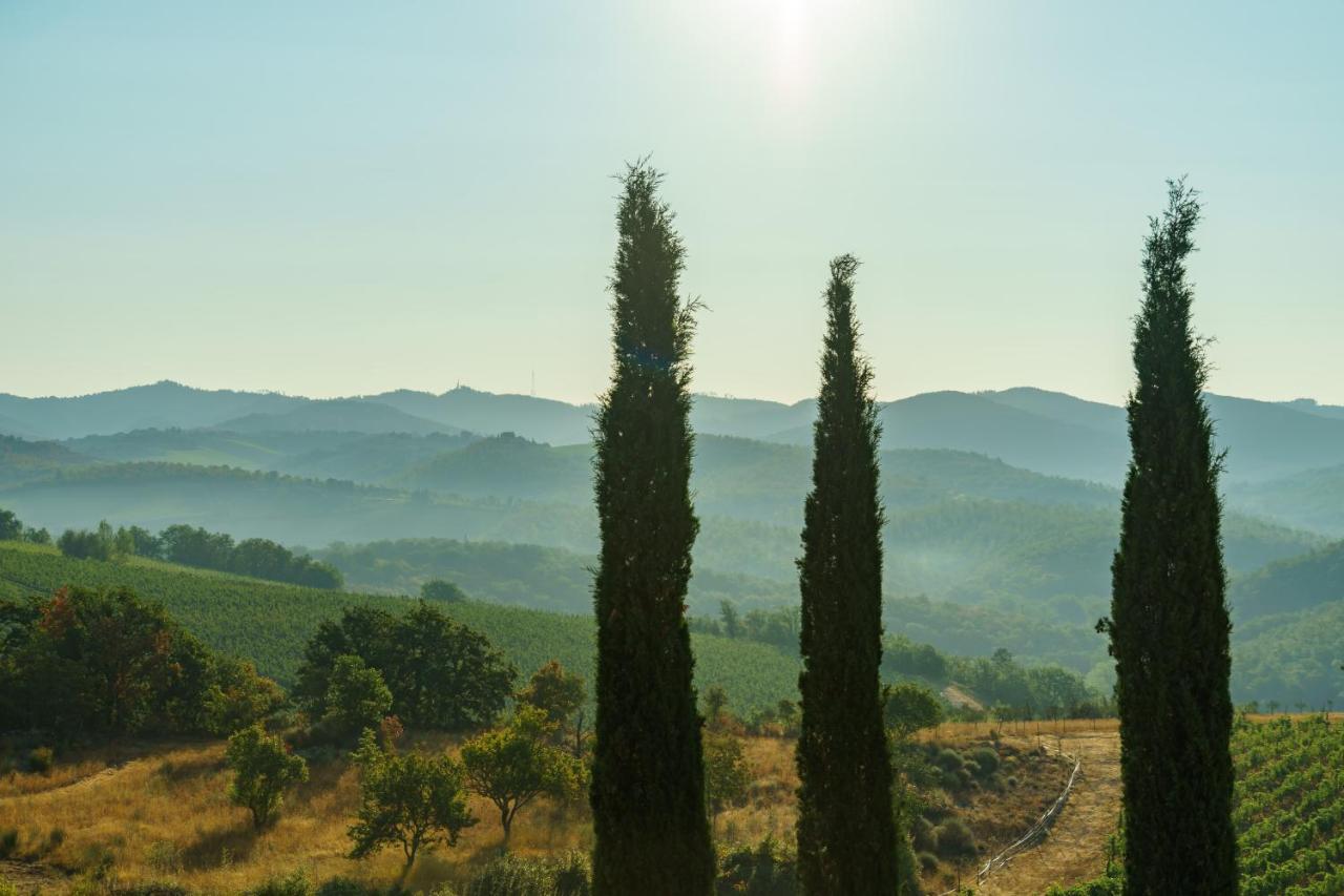 San Sano Celle Di Lecchi Nel Chiantiヴィラ エクステリア 写真