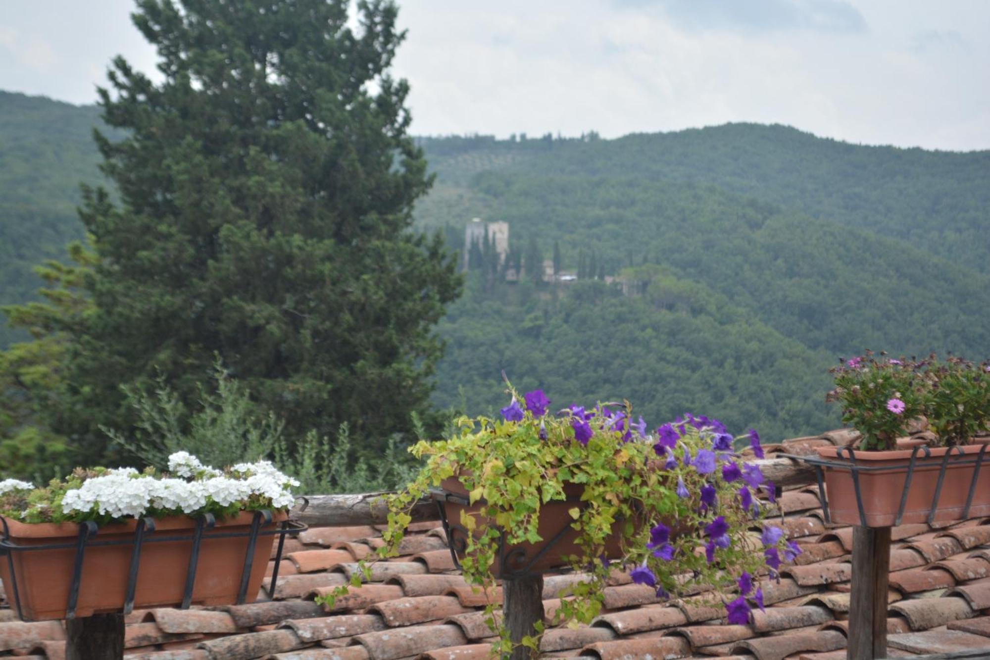 San Sano Celle Di Lecchi Nel Chiantiヴィラ エクステリア 写真