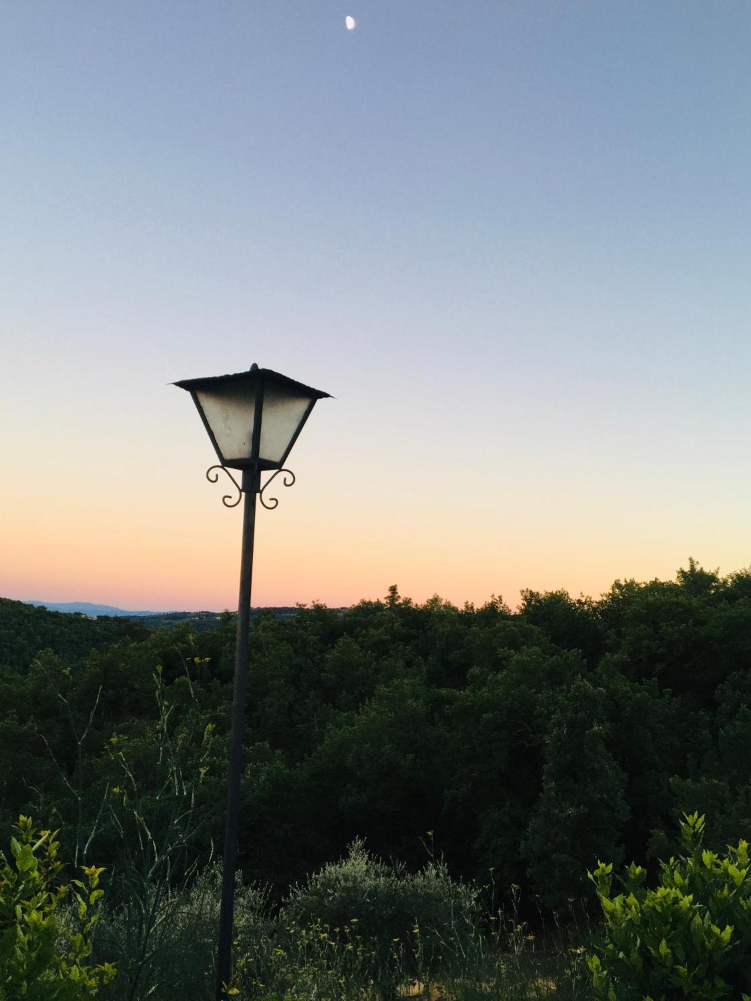 San Sano Celle Di Lecchi Nel Chiantiヴィラ エクステリア 写真