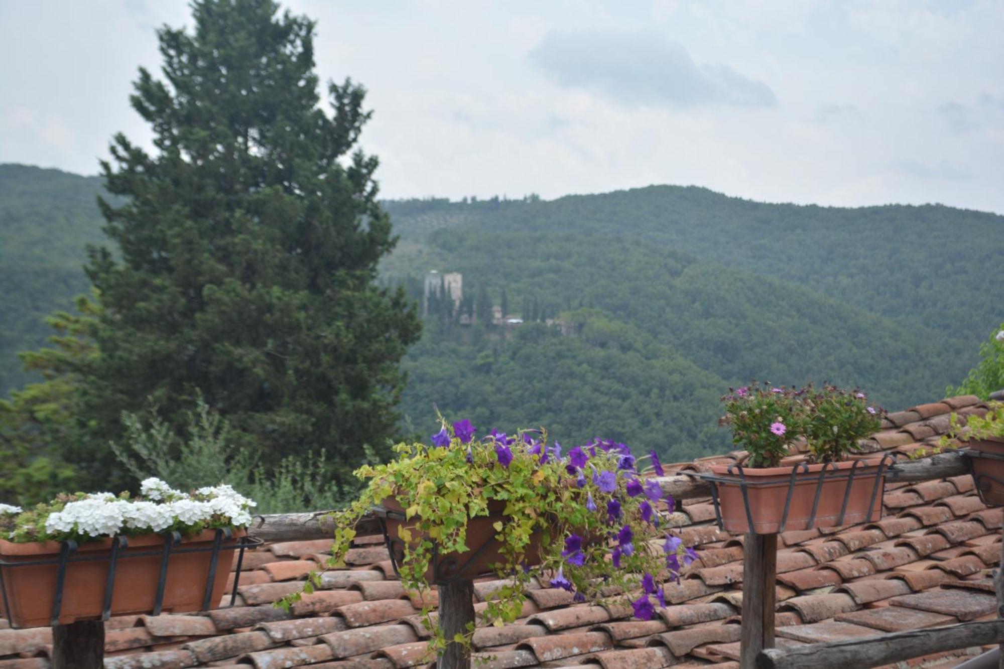 San Sano Celle Di Lecchi Nel Chiantiヴィラ エクステリア 写真