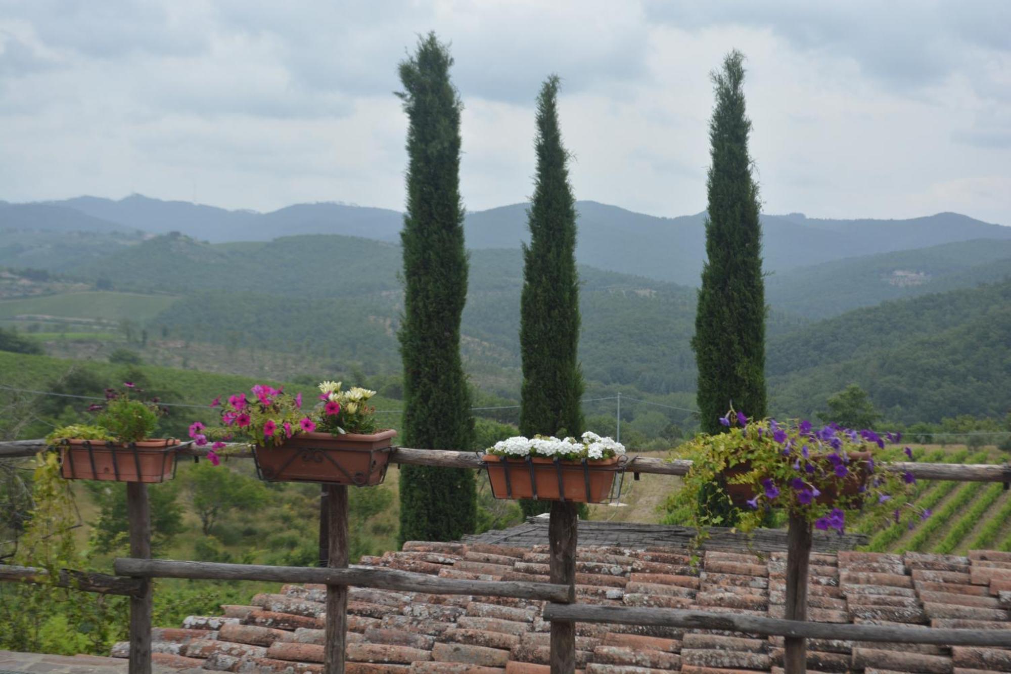 San Sano Celle Di Lecchi Nel Chiantiヴィラ エクステリア 写真